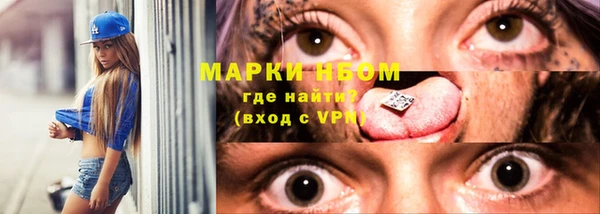 прущие грибы Касимов