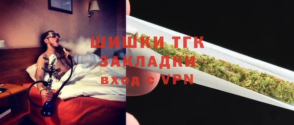 прущие грибы Касимов
