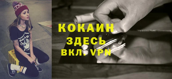 индика Кинешма