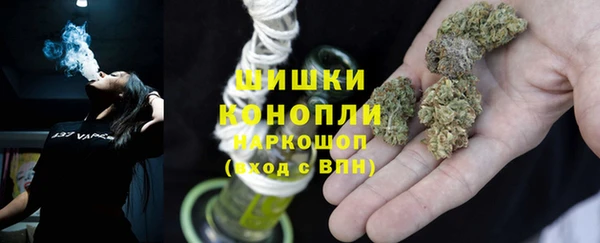 гашик Карпинск