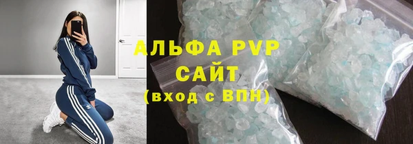 прущие грибы Касимов
