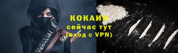 прущие грибы Касимов