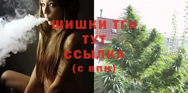 гашик Карпинск