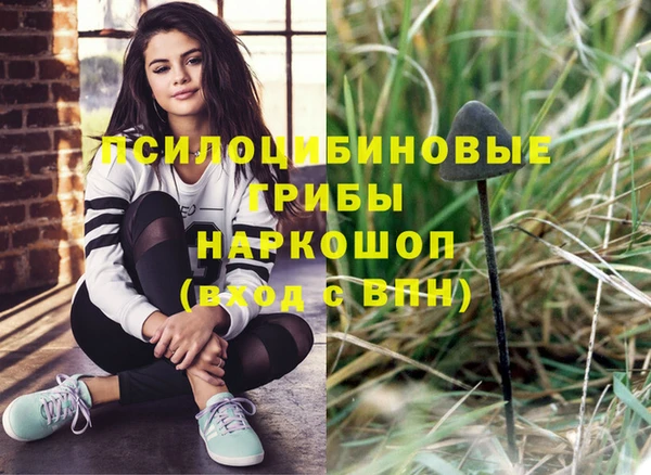 гашик Карпинск