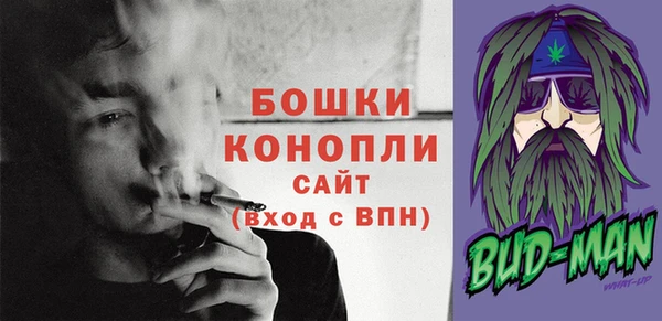 гашик Карпинск