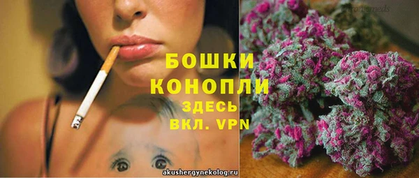 прущие грибы Касимов
