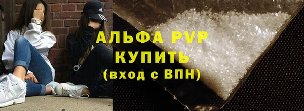 гашик Карпинск