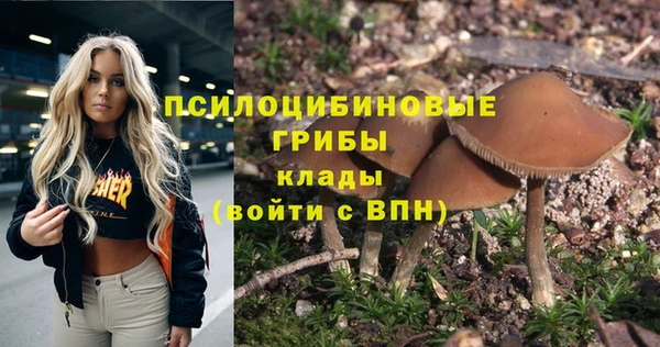 mdpv Нестеровская