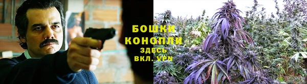 ALPHA PVP Киреевск