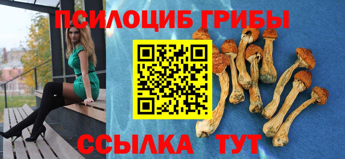 Таганрог  Галлюциногенные грибы Psilocybe  Вход с VPN 