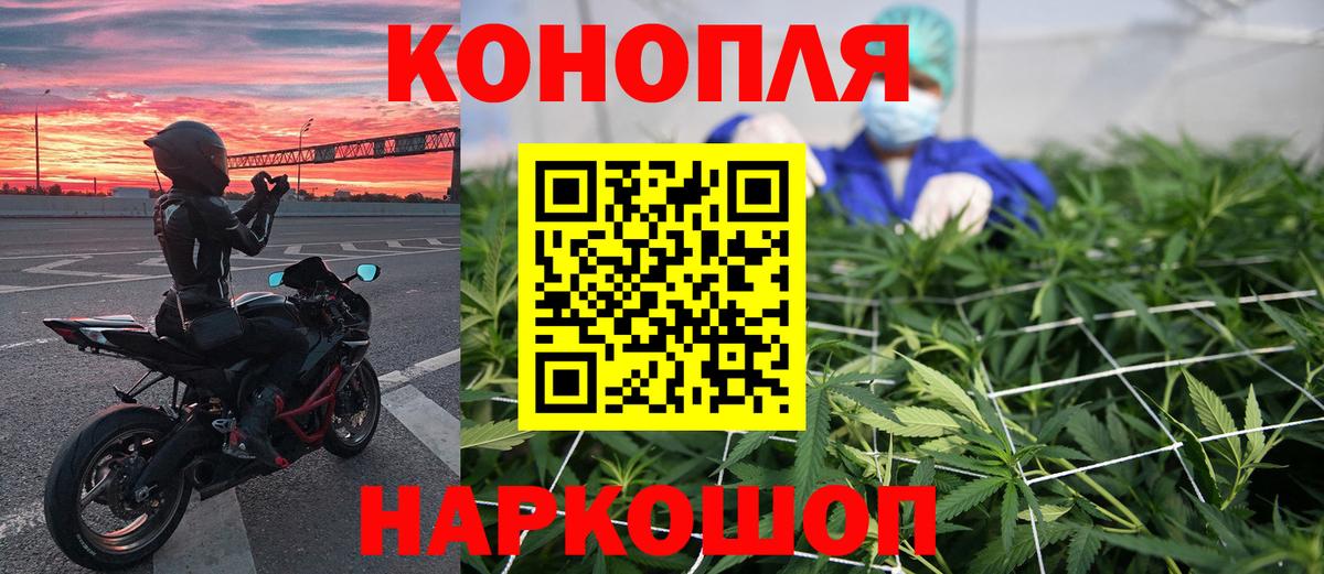 Шишки марихуана планчик  Бошки марихуана SATIVA & INDICA  Вход с VPN  Конопля семена  Таганрог 